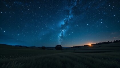 Lyngrim's Designer Toolkit Collection