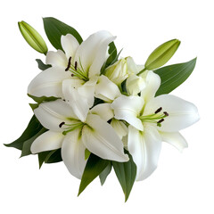 Elegant Bouquet of Pure White Lilies Close Up Floral Arrangement Wedding Flowers Funeral Flowers