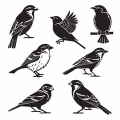 set of birds
