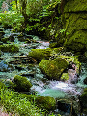Waterfall in Oirase Keiryu gorge in Aomori, Japan