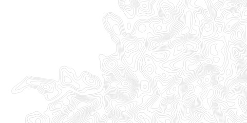 Fototapeta premium Abstract curve grid map and topo contour map on white background, Topographic contour lines. Seamless pattern with lines Topographic map. Geographic mountain relief diagram line wave carve design. 