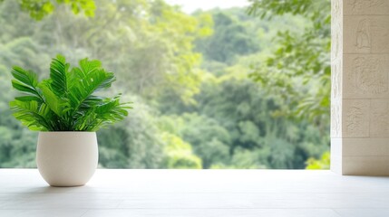 A lush green plant sits in a white pot. The plant is the focal point, positioned on a light-colored surface. A blurred, out-of-focus background shows a verdant landscape viewed through a window. The