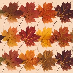 Obraz premium autumn leaves background