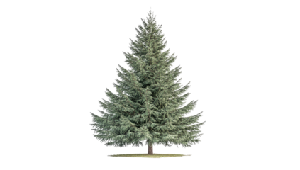 Silvery Christmas Tree