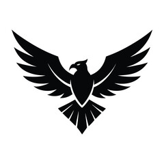 Fototapeta premium eagle with wings