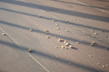Crumbs scattered on wooden floor in morning light