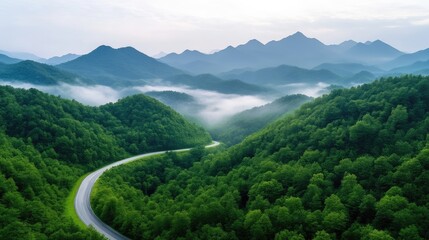Fototapeta premium A winding road through lush green mountains, dense forest landscape with mist in the valleys, and serene and tranquil nature scene.