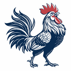 Create a bold, vector illustration of a rooster, poised and aggressive, ready to fight.  Include detailed comb and feathers.