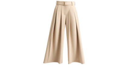 Elegant Beige High Waisted Pleated Wide Leg Pants a transparent background