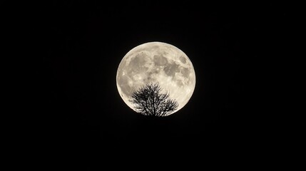 Full moon silhouetted tree, night sky, nature poster