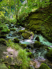 Waterfall in Oirase Keiryu gorge in Aomori, Japan