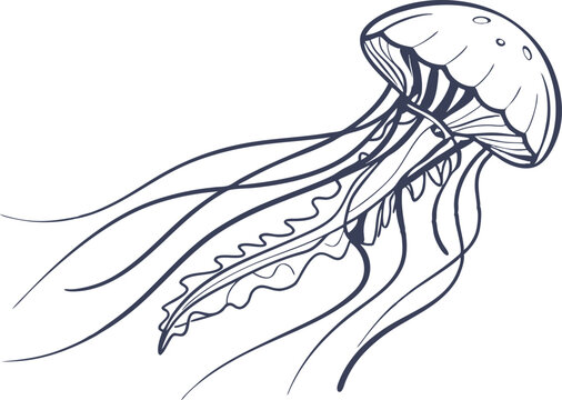 Fat jellyfish silhouette illustration vector design.