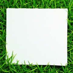 Crisp white paper rests on vibrant green grass , element, texture