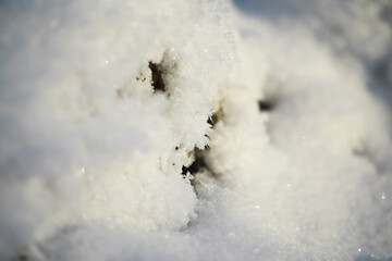 Close-Up of Fluffy Snow Covered Surface with Sparkling Crystals in Winter