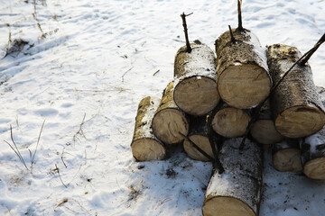 Winter Firewood Stack in Snowy Field - Foreground Focused Logs on Snow-Covered Ground