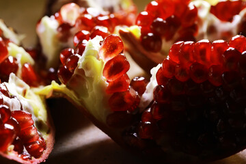 Close-Up of Fresh Pomegranate Seeds in Sunlight