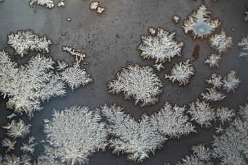 Close-Up of Frost Crystals on Glass Surface in Winter Morning Light