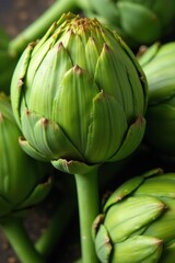 Fototapeta premium Vibrant green artichokes, tightly closed, farm fresh , leaf, shadow