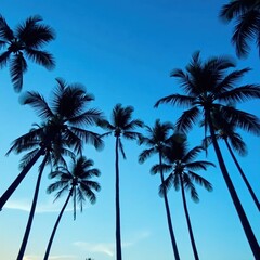 Slender palm trees silhouetted against vibrant blue sky, sky background, nature