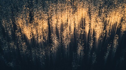 Golden Data Stream, Server Room, Night, Abstract Background