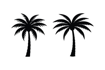 Obraz premium Palm tree icon silhouette on white background