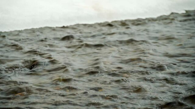 The spring current of a freshwater mountain river. Melting of snow and ice. The inflow of fresh water. Spring.