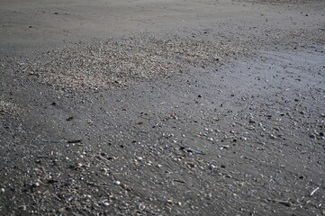 Wet sand and small pebbles on the beach after low tide. Natural coastal texture with scattered stones and subtle patterns created by the retreating ocean.