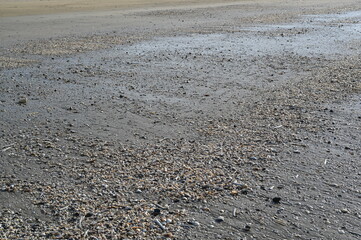 Clear shallow water of the Atlantic Ocean during low tide on the French coast. Sand ripples under transparent water creating natural texture and marine background.