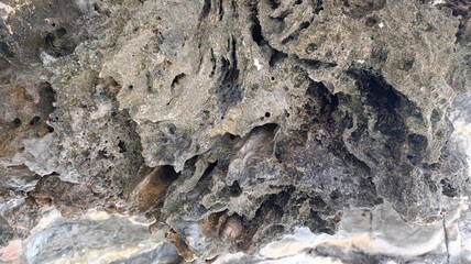 The surface of a rock or large rock formation. The stone has an interesting texture and layering with different shades of gray, black, white and beige colors