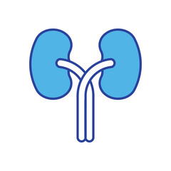 Kidneys icon isolated on a white background. Vector illustration.