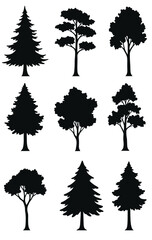 Tree silhouettes showcase varied deciduous evergreen shapes in stark black and white contrast
