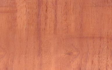 Wooden Texture Background. 