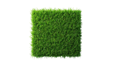Lush green grass square