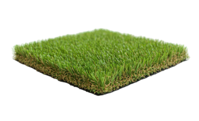 Artificial turf sample