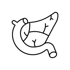 Pancreas icon isolated on a white background. Vector illustration.