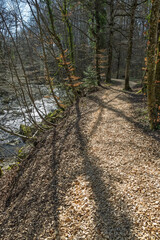 rivière sauvage L'Aubonne