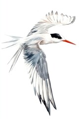 Obraz premium A watercolor painting of a bird gracefully in flight