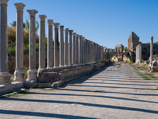 Ruins of the ancient city of Perge in Antalya. Palaestra and Gymnasuim area and structures. Turkey's historical and archaeological heritage. Antalya city, Turkey country 