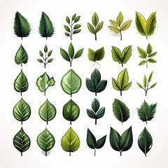 Set of Flat Leaf Illustrations on Clean White Background