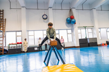 Elementary school kids practicing gymnastics on a pommel horse during physical education class,...