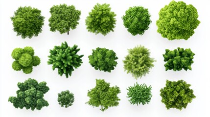 Top view of trees and bushes, vector graphics, flat design, white background, various shapes, green color, high resolution, no shadows, hyper-realistic details, hyper-detailed, hyper-realism, hyper-de