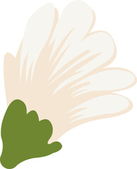 Daisy Flower Illustration