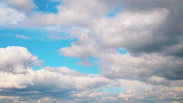 Dramatic sky almost completely covered with cumulus clouds. Slowly moving huge clouds. Atmosphere before a storm or rain.