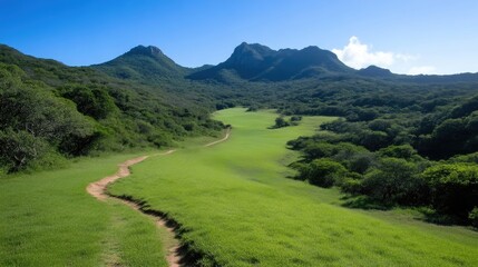 Lush valley trail meanders through verdant landscape, leading to majestic mountains under a clear sky