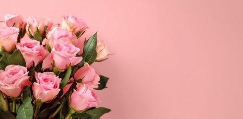 bouquet of pink roses 