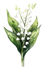 A Delicate Watercolor Depiction of White Flowers and Green Leaves
