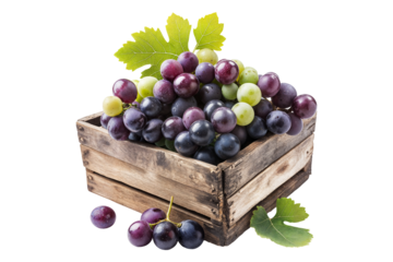 Fresh mixed grapes in a wooden crate with green leaves isolated on transparent background