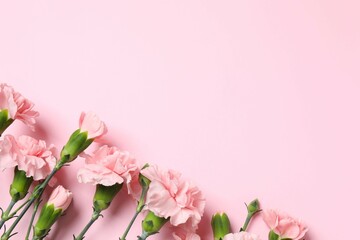 Obraz premium Beautiful bouquet of pink carnations on a colored background