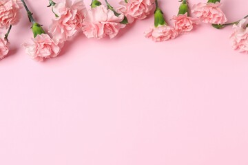 Beautiful bouquet of pink carnations on a colored background