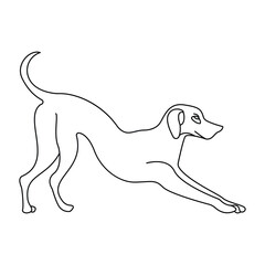 Sketch  Dog Line Art Design
